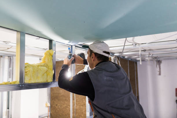 Professional Insulation Contractor in Fort Myers, FL